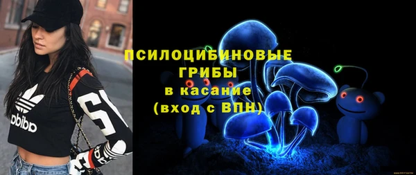 дурь Абдулино