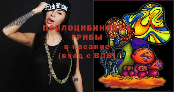 соль ск Абаза