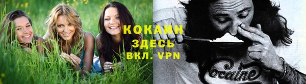 соль ск Абаза