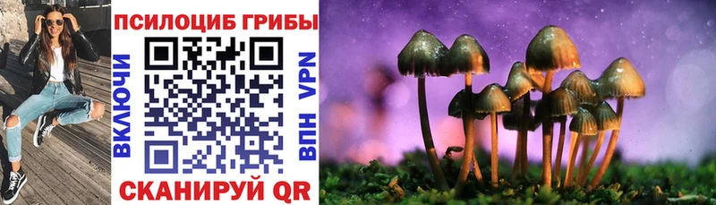 Псилоцибиновые грибы Cubensis  наркота  Усть-Кут 